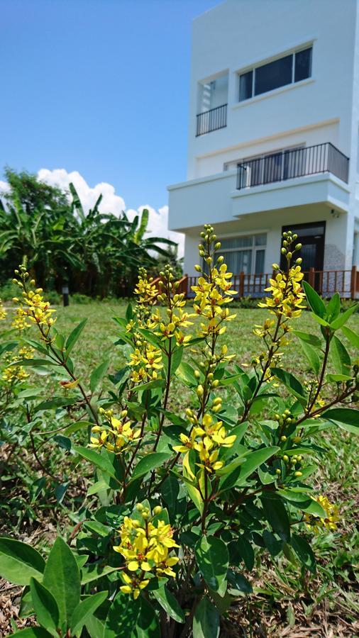Marsu Xincheng B&B Xincheng Township Luaran gambar